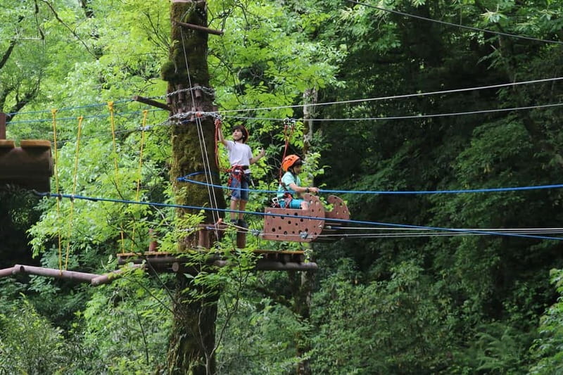 Batumi to Mtirala National park - Half day hiking group tour - Guides Like Eleonora, Sukho, Keti, and Maka