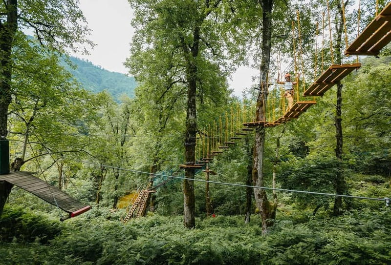 Batumi to Mtirala National park - Half day hiking group tour - Roads, Motion Sickness, and Other Real-World Comfort Tips