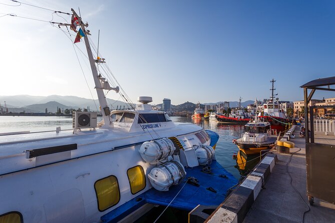 Batumi Walking Tour - Key highlights at a glance
