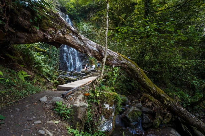 Batumi, Waterfalls & Folklore - group tour from Kutaisi - From Kutaisi at 7:30, then up into Adjara cooler air