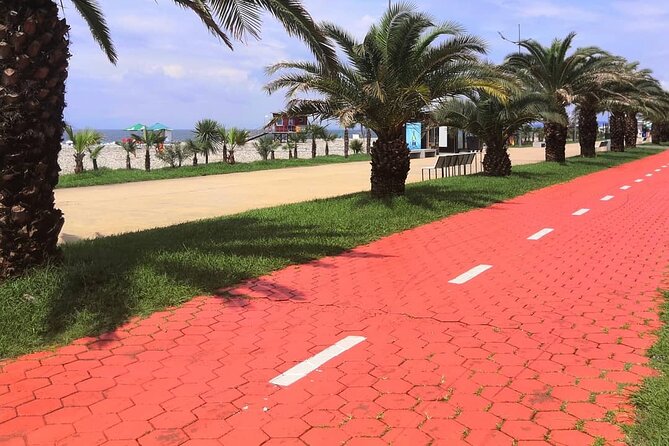 Best of Batumi | Private Walking Tour + Tasting Georgian Wines - Wine tasting in the middle of sightseeing, what to expect