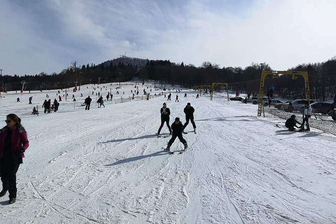 Borjomi/Bakuriani Private Full Day Tour from Tbilisi - Stop 3: Bakuriani Recreational Park, Ski Resort Town at 1,700 m