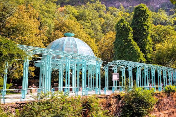 Borjomi National Park Full Day Private Tour From Tbilisi - Borjomi Central Park Walk: Mineral Springs, Trail Choices, and Picnic Potential