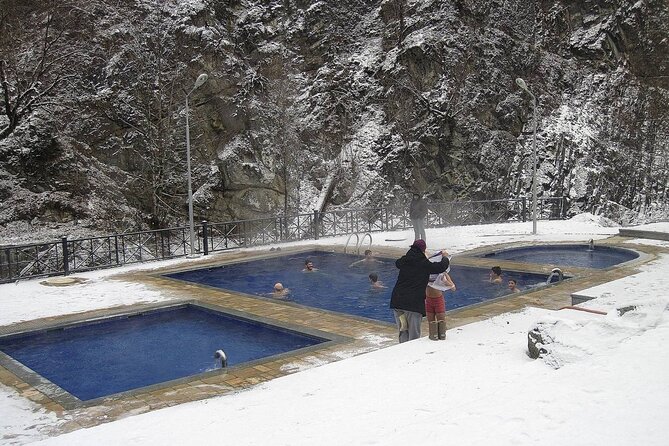 Borjomi Nature Wonderland Guided Tour from Tbilisi - Wooden-House Village and Passing Fortresses