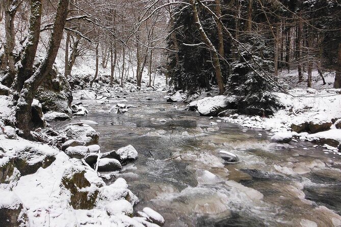 Borjomi Nature Wonderland Guided Tour from Tbilisi - Food, Breaks, and What You Pay Beyond the Tour Price