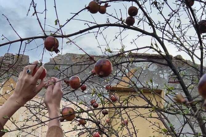 Break Bread with Kutaisi Locals - Price and value: what $53.50 buys for a 3-hour night
