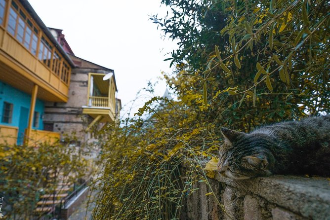 Classic Tbilisi Walking Tour - Gudiashvili Square and Asatiani Street: new renovations over older routes