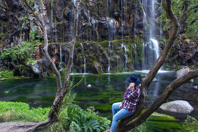 Dashbashi Canyon. The village of Asureti and Didgori monument. - Key highlights worth aiming for