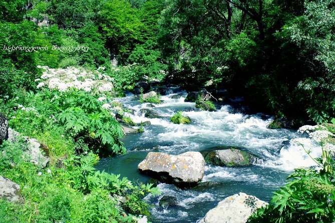 Dashbashi Canyon. The village of Asureti and Didgori monument. - Lake Algeti: a quick scenic breather on the way out