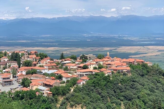 Day tour to Kakheti wine region Georgia - How the Day Runs, and What to Expect From the Schedule