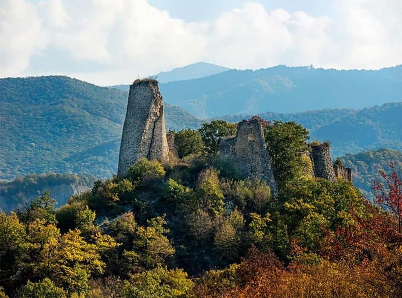 Day trip in Kakheti-Beauty and Love in a Glass Wine - Manavi: homemade wine, chacha, and sweet churchkhela