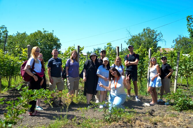 Day Trip to Kakheti Wine Region Including 9 Wine Tastings - The math on value: $29 and what it really covers