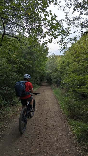 Electric Mountain Biking around Tbilisi - Open Air Ethnography Museum Stop: A Breather That Adds Meaning