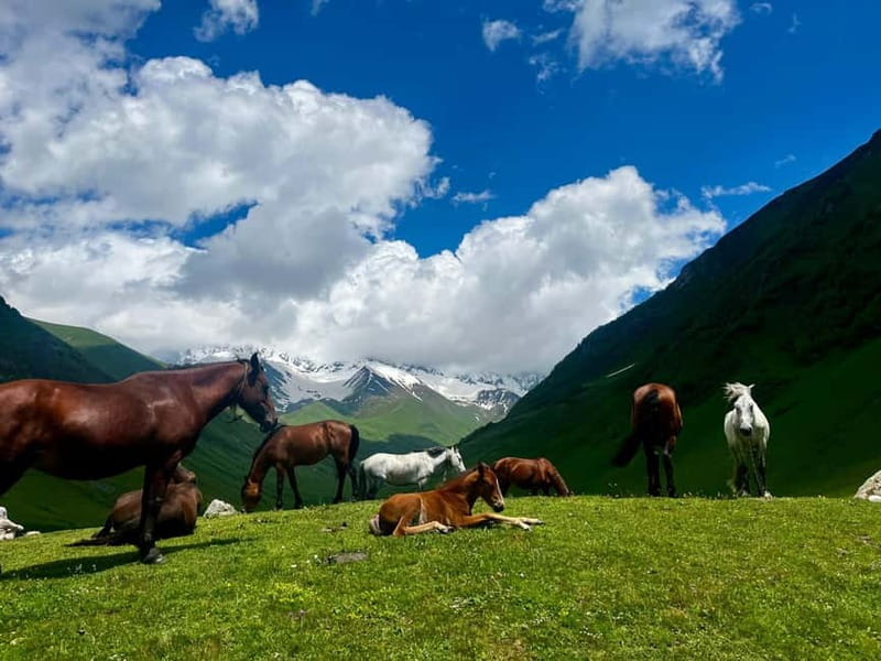 From Kutaisi: Svaneti Mountain Villages 2-Day 4x4 Safari - What winter (December to March) changes in this Svaneti 4x4 safari
