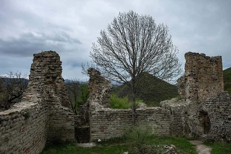 From Tbilisi: Bodbe, Sighnaghi and Telavi Day Trip - Meeting at the Pheasant Monument, then settling in fast