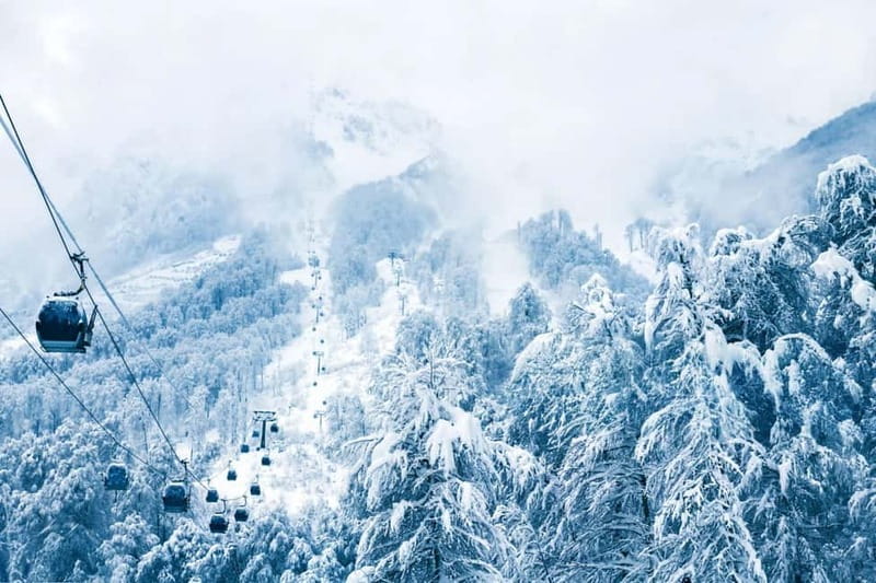 From Tbilisi: Borjomi and Bakuriani Ski Resort Private Tour - Key Things I’d Plan Around Before You Go
