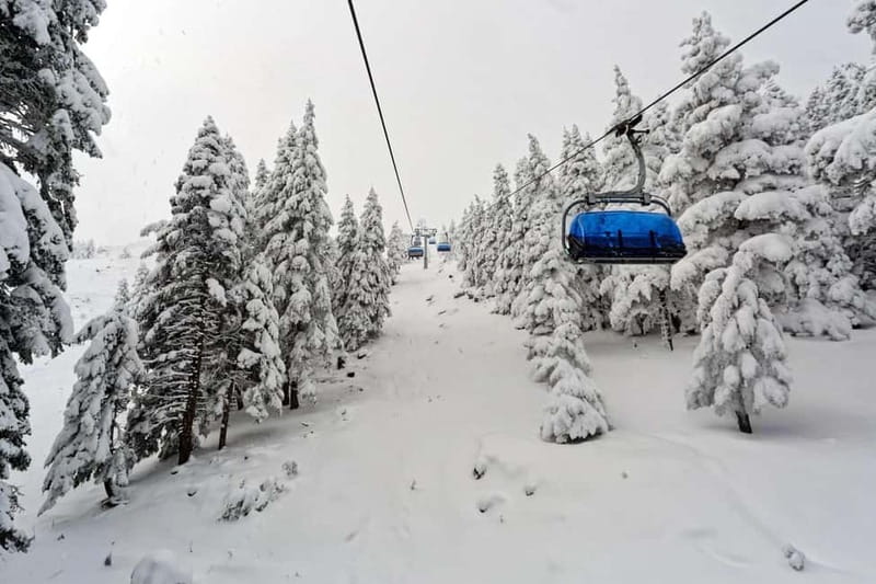 From Tbilisi: Borjomi and Bakuriani Ski Resort Private Tour - A Private Driver Guide Means You Actually Enjoy the Day