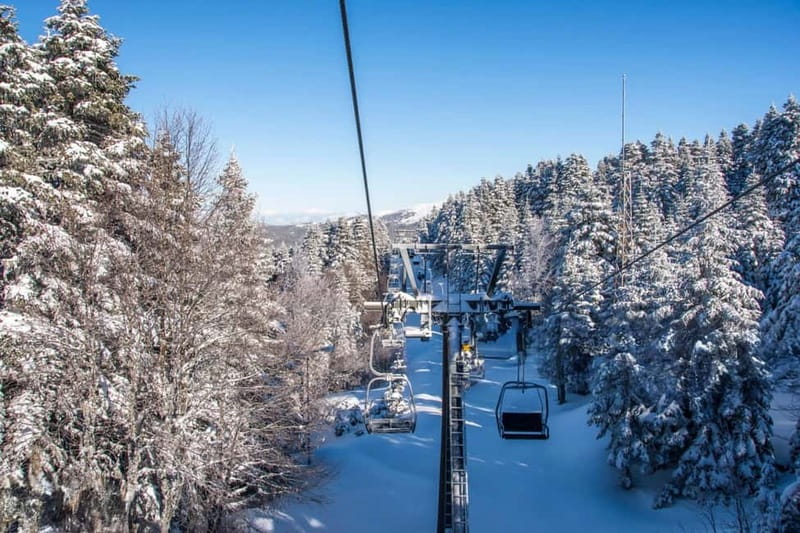 From Tbilisi: Borjomi and Bakuriani Ski Resort Private Tour - Borjomi Central Park and the Mineral Water at the Source