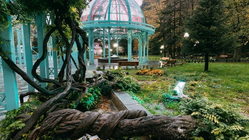 From Tbilisi: Borjomi, Rabati, and Vardzia Guided Day Trip - Mineral water sources named after Ekaterina and Evgeniy Golovin