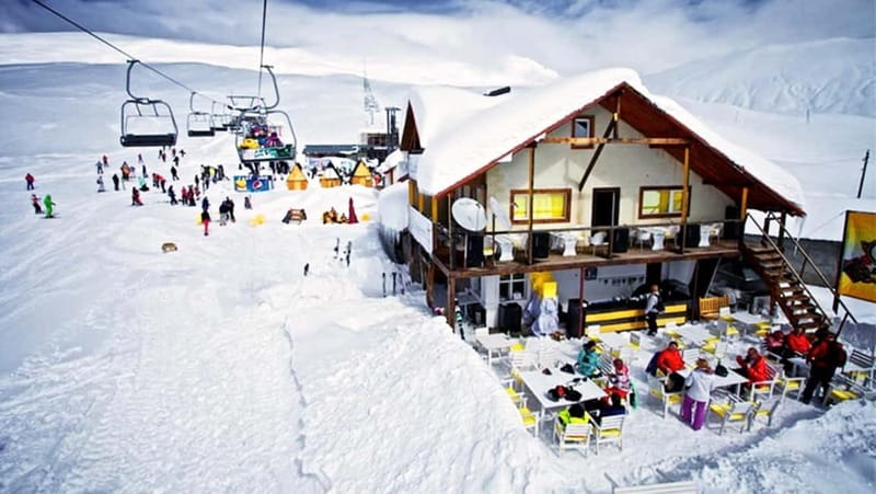 From Tbilisi: Full-Day Gudauri Ski Resort Day Trip - Set-Up and Transport: Smooth Ride, Real Stops