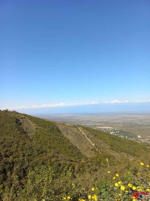 From Tbilisi: Kakheti Day Trip with Wine Tasting - Kakheti in One Day: what this route does best