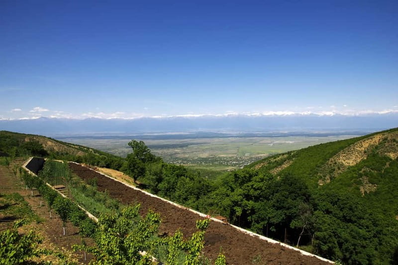 From Tbilisi: Kakheti & Sighnaghi Guided Day Trip with Wine - Starting in Tbilisi, and why the pickup matters
