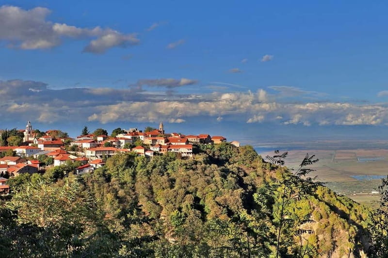 From Tbilisi: Kakheti Tour - Bodbe, Sighnaghi, wine tasting - The guide factor: why Luka’s reputation matters