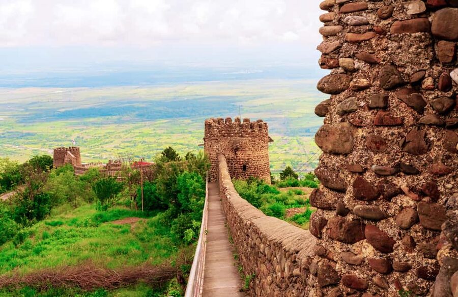 From Tbilisi: Kakheti Wine Region Tour with 9 Wine Tastings - A 10-hour Kakheti day trip that hits the right notes