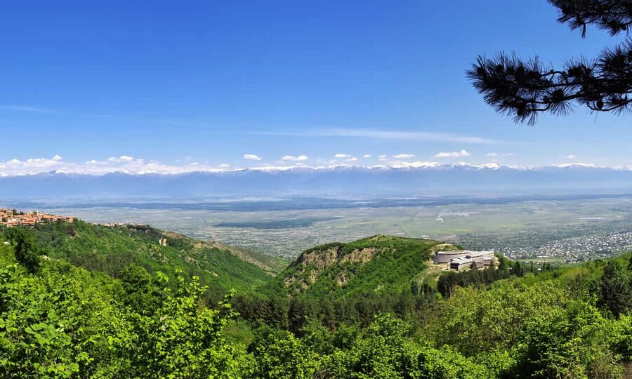 From Tbilisi: Kakheti Wine Region Tour with 9 Wine Tastings - Food and wine pacing: how to get the most without feeling wrecked