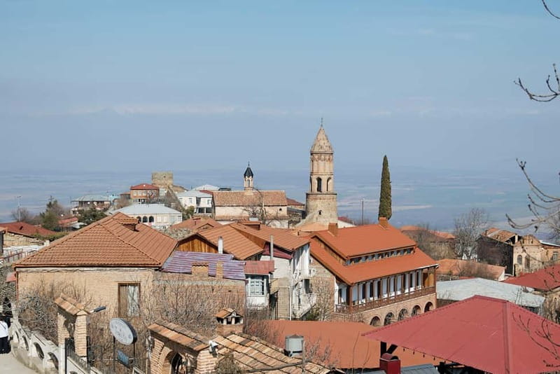 From Tbilisi: Kakheti Wine Trip + Free Wine&Chacha Tasting - Price and value: what $24 really buys you