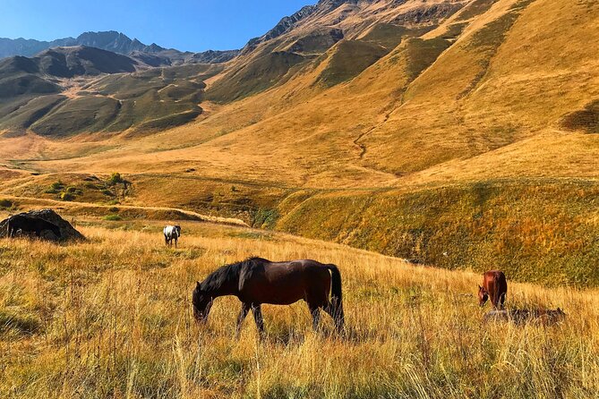 From Tbilisi: Kazbegi Ananuri Gudauri and Trusso Valley by 4x4 - Price and what it buys you for the money