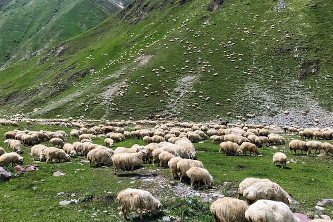 From Tbilisi: Kazbegi Ananuri Gudauri and Trusso Valley by 4x4 - Ananuri fortress ensemble: Georgia’s fortified river story