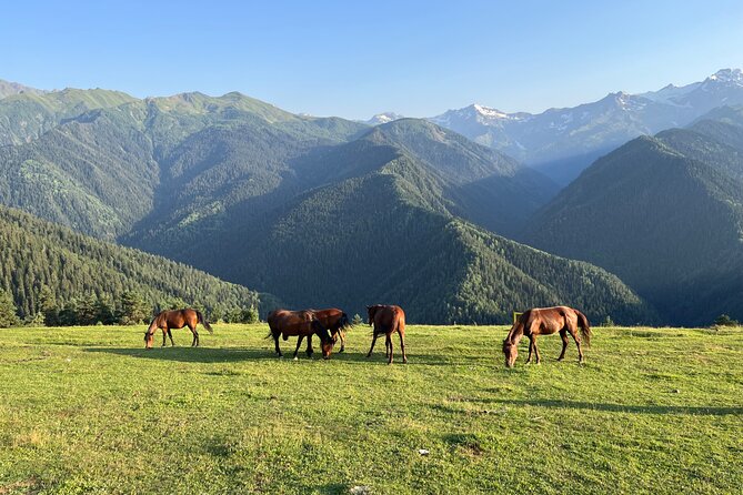 From Tbilisi: Svaneti 4 Days Private tour (Mestia, Ushguli) - Your guide, Davit Bagauri, and the comfort factor