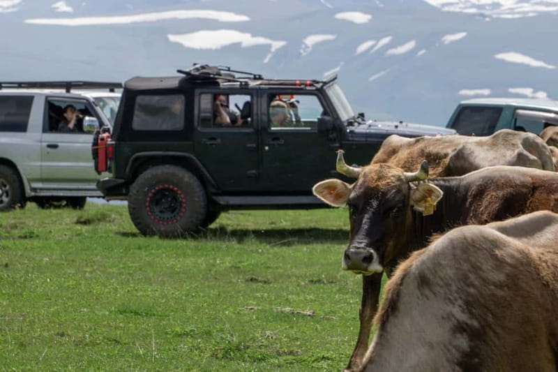 From Tbilisi: Tsalka Hills Off-Road Jeep Tour with BBQ - What to Bring for Comfort in a Bumpy, Weather-Switching Mountain Day
