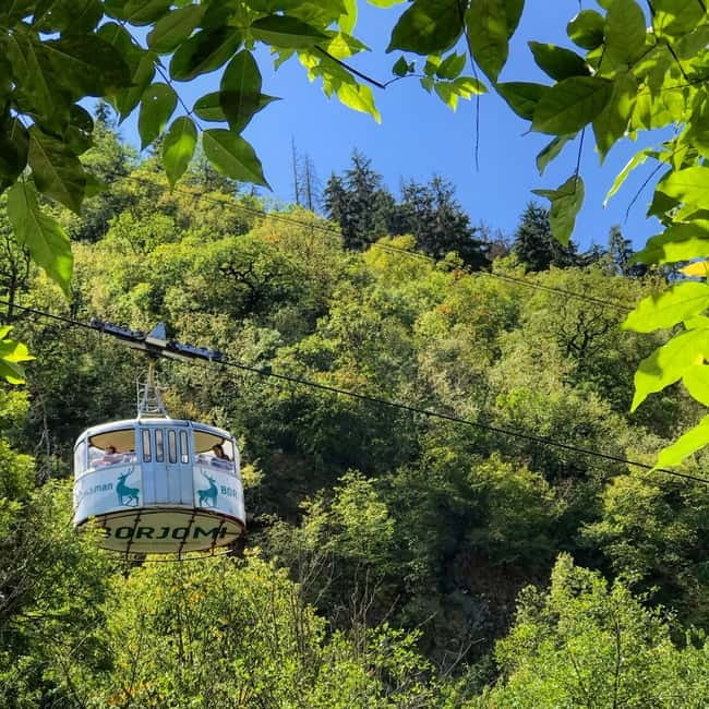 From Tbilisi: Vardzia, Rabati, and Borjomi Private Tour - Lunch Break at a Local Restaurant