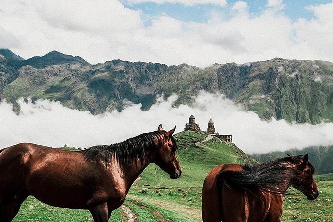 full day Kazbegi-Gudauri-jvari -from Tbilisi - Zhinvali: turquoise reservoir views and what got moved