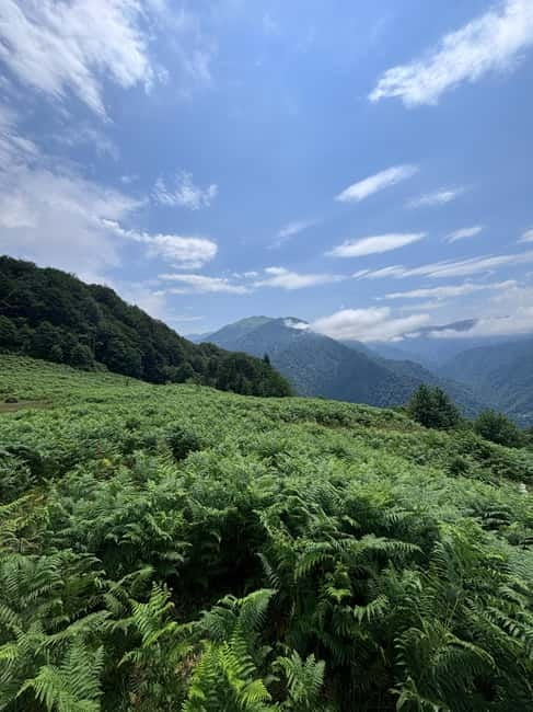 Full Day Mountine Tours from Batumi - Govakhas Bathing Area: A Break With Walking and Views