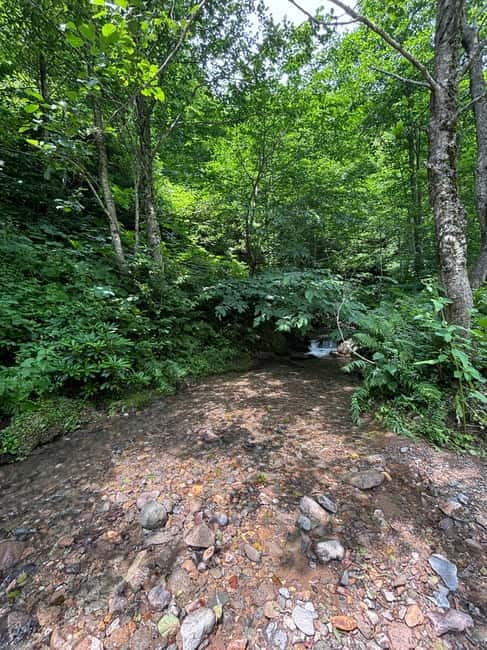 Full Day Mountine Tours from Batumi - Mt. Tievnari and Nabostlavi: Off-Road Adventure Plus Wildlife Time