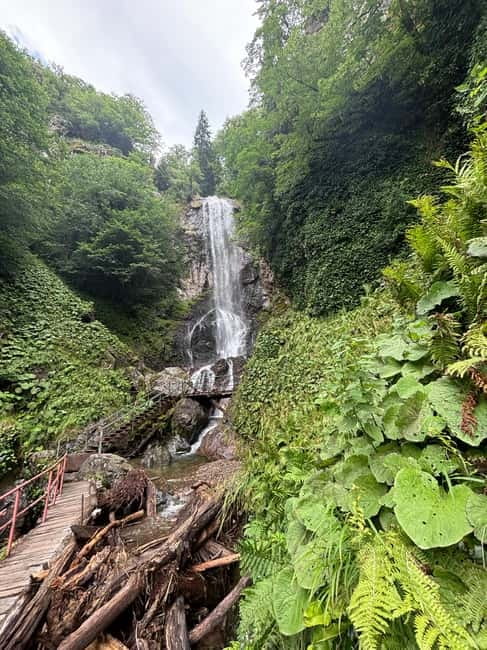 Full Day Mountine Tours from Batumi - Who This Jeep Tour Fits Best