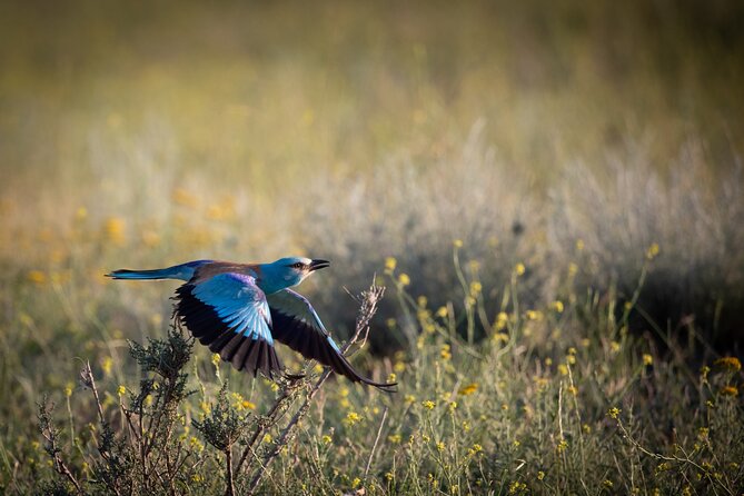 Full-day Private Wilderness tour in Vashlovani National Park - Key things to know before you go