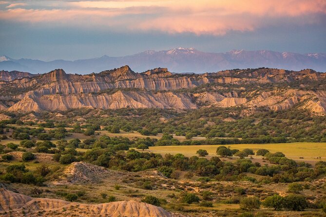 Full-day Private Wilderness tour in Vashlovani National Park - Vashlovani with Temo: why a private day changes everything
