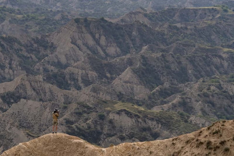 Full-day Private Wilderness tour in Vashlovani National Park - Price and value: what $447 buys for up to four people