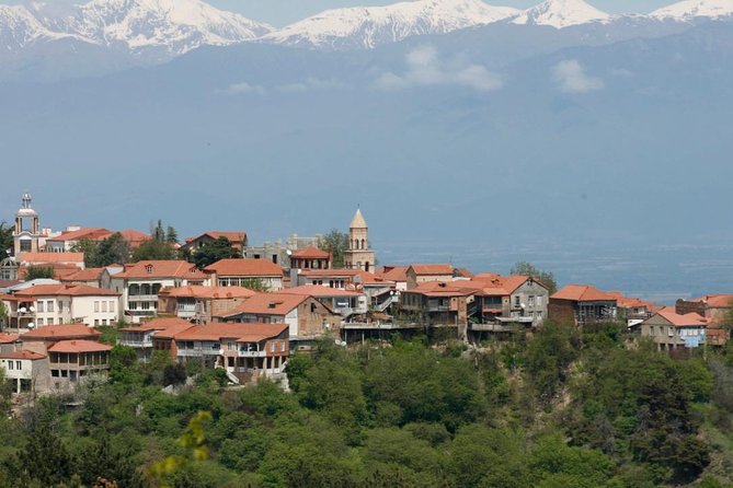 Full Day Private Wine Tour in Kakheti Region with Lunch and 3 Wine Tastings - Key highlights worth clearing your calendar for