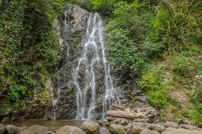 Full Day Tour from Batumi to Waterfalls - Gonio Roman Fort: ask your driver if time allows