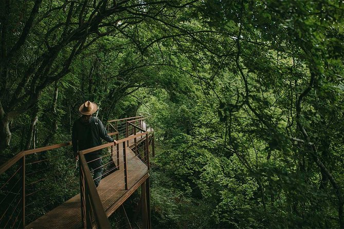 Full Day Tour to Martvili Canyon and Okatse Canyon - Key Things That Make This Tour Worth Your Time