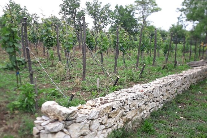 Gelati, Prometheus, Sanatoriums and Wine tour - Who this tour fits best (and who might want a different day)