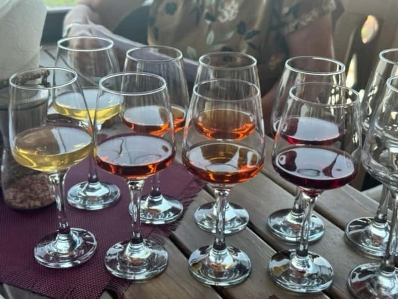 Georgian Wine Tasting at Local Cellar in Batumi - Timing in Batumi: Why a Short Session Works