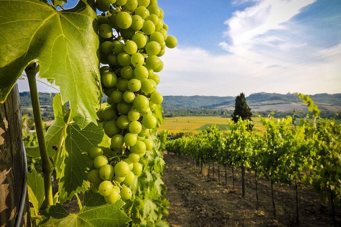 Grand tour to Kakheti for wine lovers: Telavi-Kvareli-Sighnaghi - Gremi Museum and Citadel: Alazani valley views plus church architecture