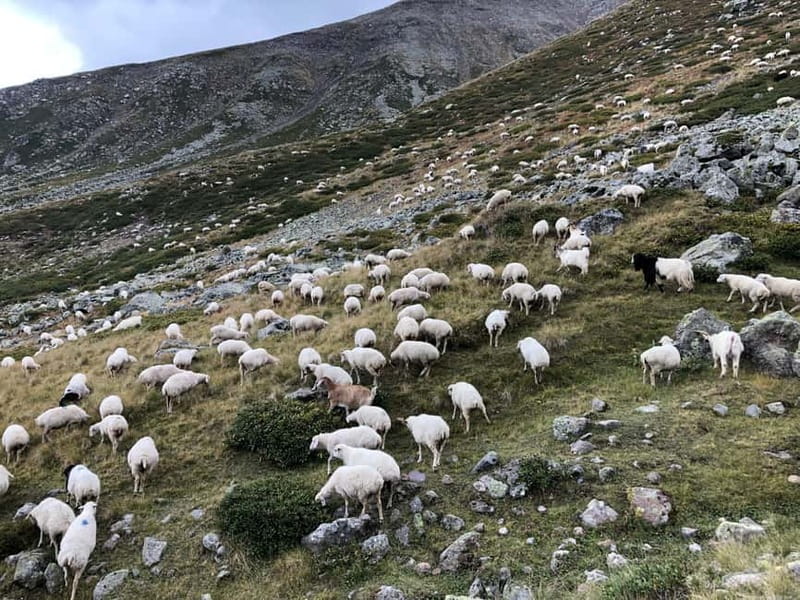 Gudauri and Kazbegi: Private Day Trip from Tbilisi - The Drive on the Georgian Military Road: Ananuri Fortress and Jinvali Dam