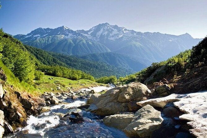 Gudauri-Jinvali-Ananuri Private tour - Guide-driver value: not just driving, but decision help